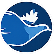 Digital Pigeon Apps Support Forum 